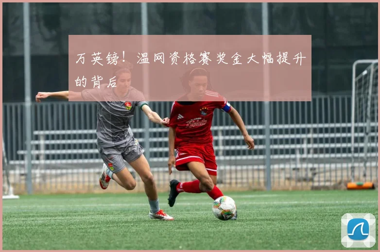万英镑!温网资格赛奖金大幅提升的背后