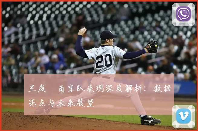 王岚嵚南京队表现深度解析：数据亮点与未来展望