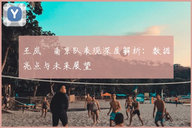 王岚嵚南京队表现深度解析:数据亮点与未来展望